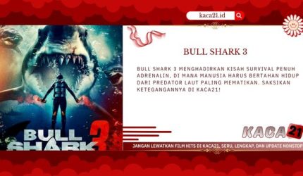 Bull Shark 3